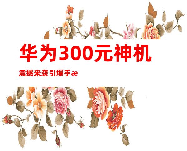 华为300元神机震撼来袭 引爆手机市场