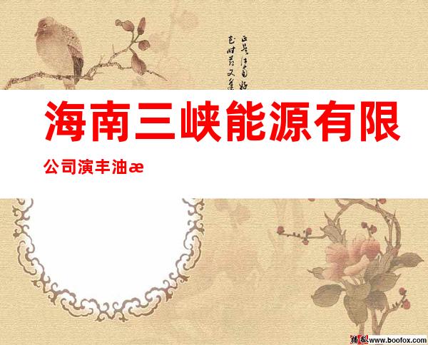 海南三峡能源有限公司演丰油气站
